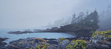 Botany Bay Fog by Ron Parker art print