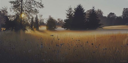 Forest Morning Mist by Ron Parker art print