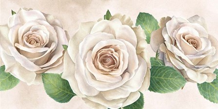 Ivory Roses Landscape I by Kelsey Wilson art print