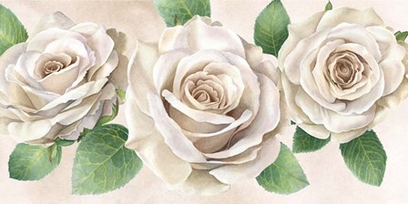 Ivory Roses Landscape II by Kelsey Wilson art print