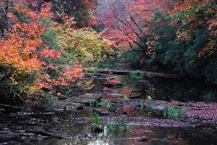 Fall Creek by Jerome Andrews art print