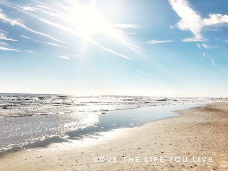 Love The Life You Live by Acosta art print