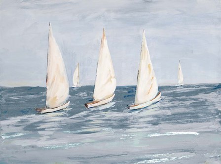 Sailing Calm Waters  II by Julie DeRice art print
