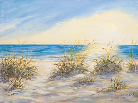 Coastal Sunrise by Julie DeRice art print
