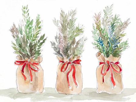 Spruce Wrapped in Burlap by Lanie Loreth art print