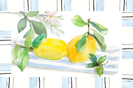 Spring Citron by Lanie Loreth art print