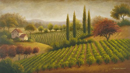 Vineyard In The Sun I by Michael Marcon art print