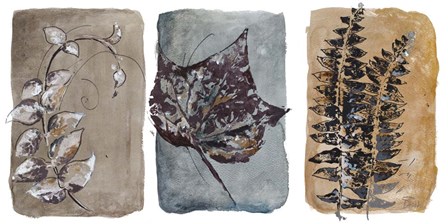 Watercolor Sepia Leaves I by Patricia Pinto art print