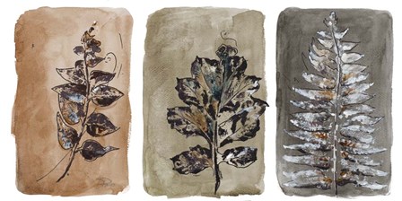 Watercolor Sepia Leaves II by Patricia Pinto art print