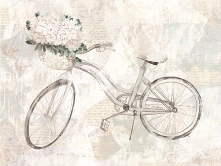 Bicycle Dream by Dogwood Portfolio art print