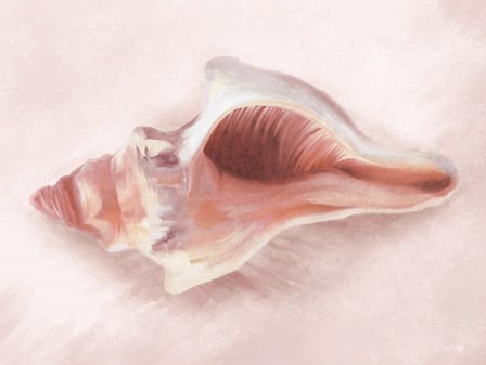 Conch Shell Blush II by House Fenway art print