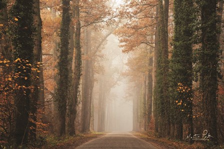 Foggy Autumn Road by Martin Podt art print