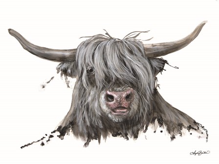 Lucy the Highland Cow by Angela Bawden art print
