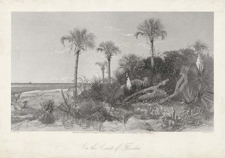 On the Coast of Florida by William Cullen Bryant art print