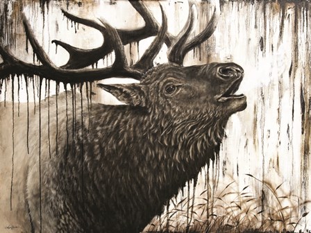 Bugling Bull Elk by Angela Bawden art print