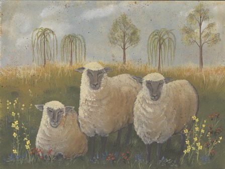 Three Sheep by Pam Britton art print