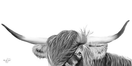 Peek-a-boo Highland by Diane Fifer art print