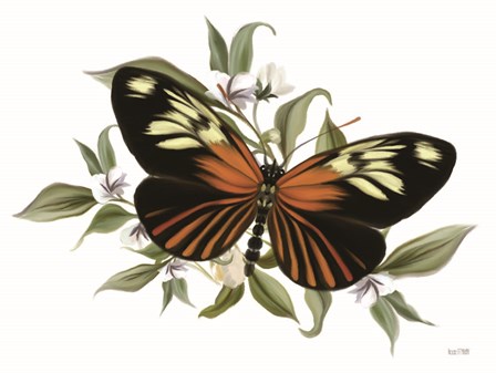 Botanical Butterfly Heliconius by House Fenway art print