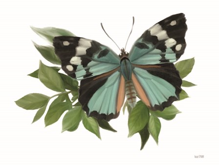 Botanical Butterfly Common Gem by House Fenway art print