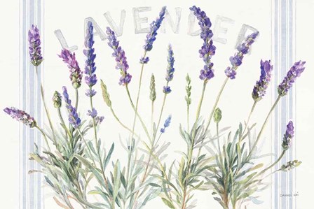 Floursack Lavender V by Danhui Nai art print