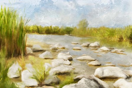 Marshy Wetlands No 4 by Ramona Murdock art print