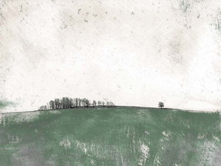 Distant Trees by Ynon Mabat art print