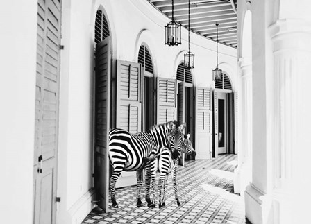Zebra Hotel by Kathy Mansfield art print