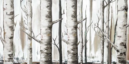 White Birch Forest by Patricia Pinto art print