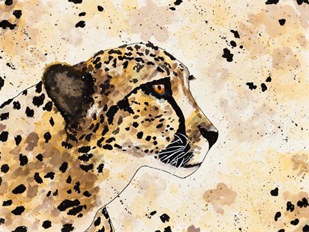 Cheetah Face by Melanie Torres art print