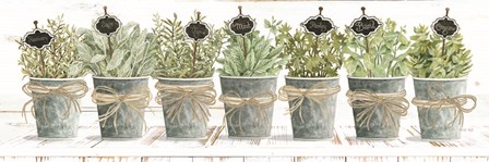 Herbs in a Row by Cindy Jacobs art print