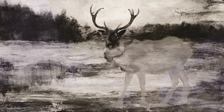 Bull in Forest 2 by Stellar Design Studio art print