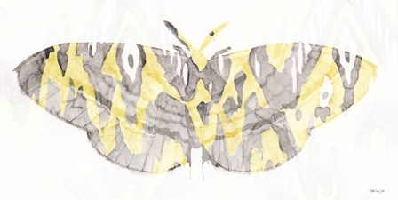 Yellow-Gray Patterned Moth 1 by Stellar Design Studio art print