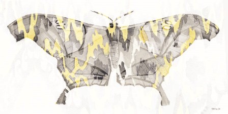 Yellow-Gray Patterned Moth 2 by Stellar Design Studio art print
