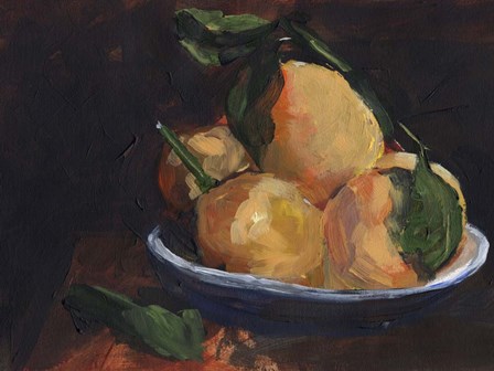 Fruit Plate I by Jennifer Parker art print