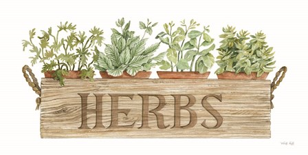 Crate of Herbs by Cindy Jacobs art print