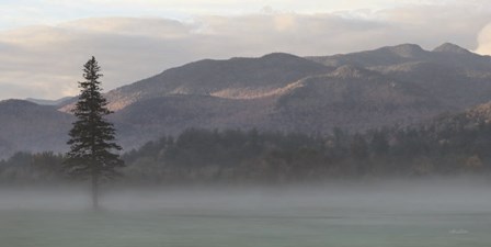 Adirondack Misty Morning by Lori Deiter art print