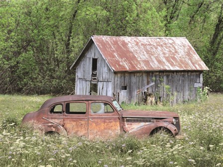 Old and Rustic by Lori Deiter art print