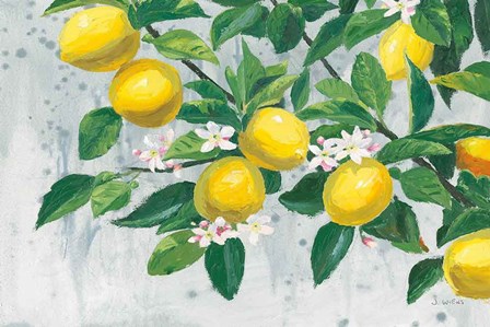 Zesty Lemons by James Wiens art print