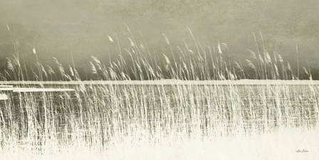 Beach Grass by Lori Deiter art print