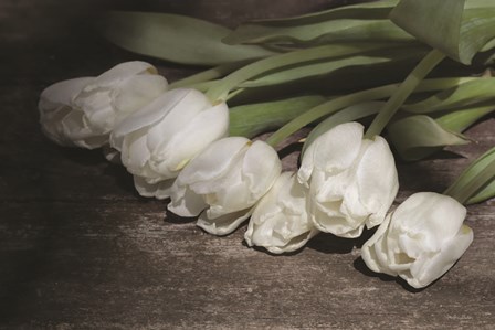 Gathered Tulips by Lori Deiter art print