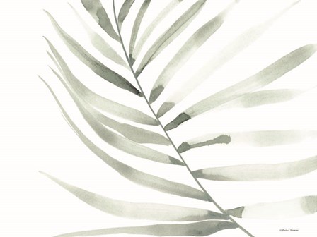 Sage Fern Leaf by Rachel Nieman art print
