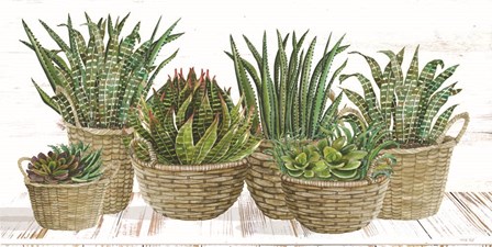 Succulent Baskets by Cindy Jacobs art print