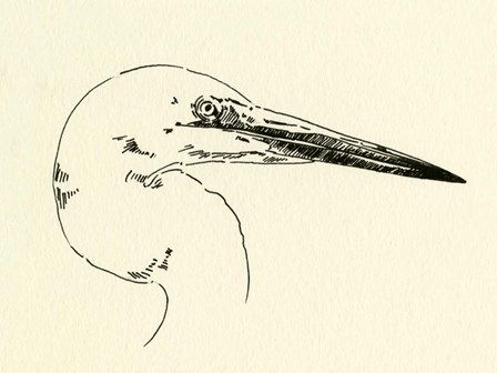 Heron Head I by Emma Caroline art print