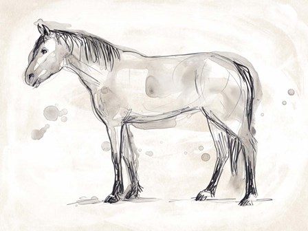 Vintage Equine Sketch I by June Erica Vess art print