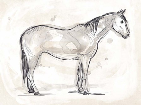 Vintage Equine Sketch II by June Erica Vess art print