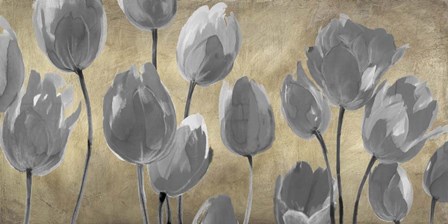 Grey Tulips by Luca Villa art print
