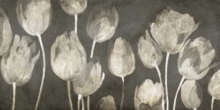 Washed Tulips by Luca Villa art print
