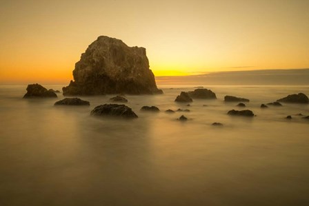 Mendocino Coast Meditation by J.C. Leacock art print