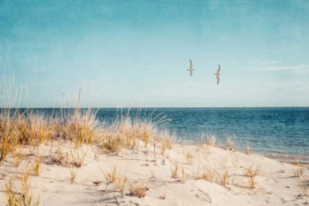 Beach &amp; Gulls by Brooke T. Ryan art print