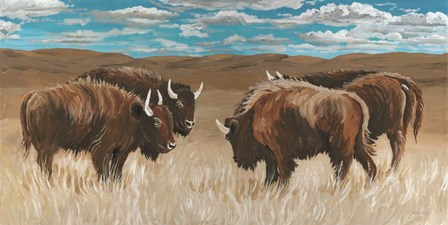 Bison Herd II by Cindy Jacobs art print